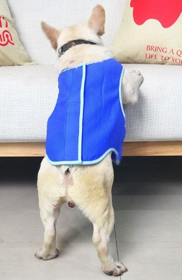 Summer Cooling Vest for Dogs & Cats – Instantly Refreshing & Comfy
