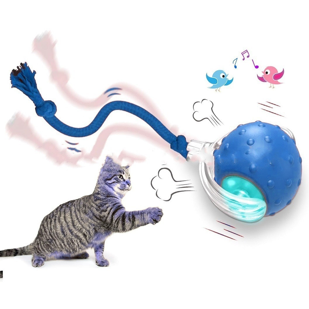"Smart Rolling Cat Ball – Interactive Motion-Activated Toy for Indoor Cats"