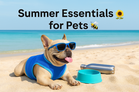 Summer Cooling Vest for Dogs & Cats – Instantly Refreshing & Comfy