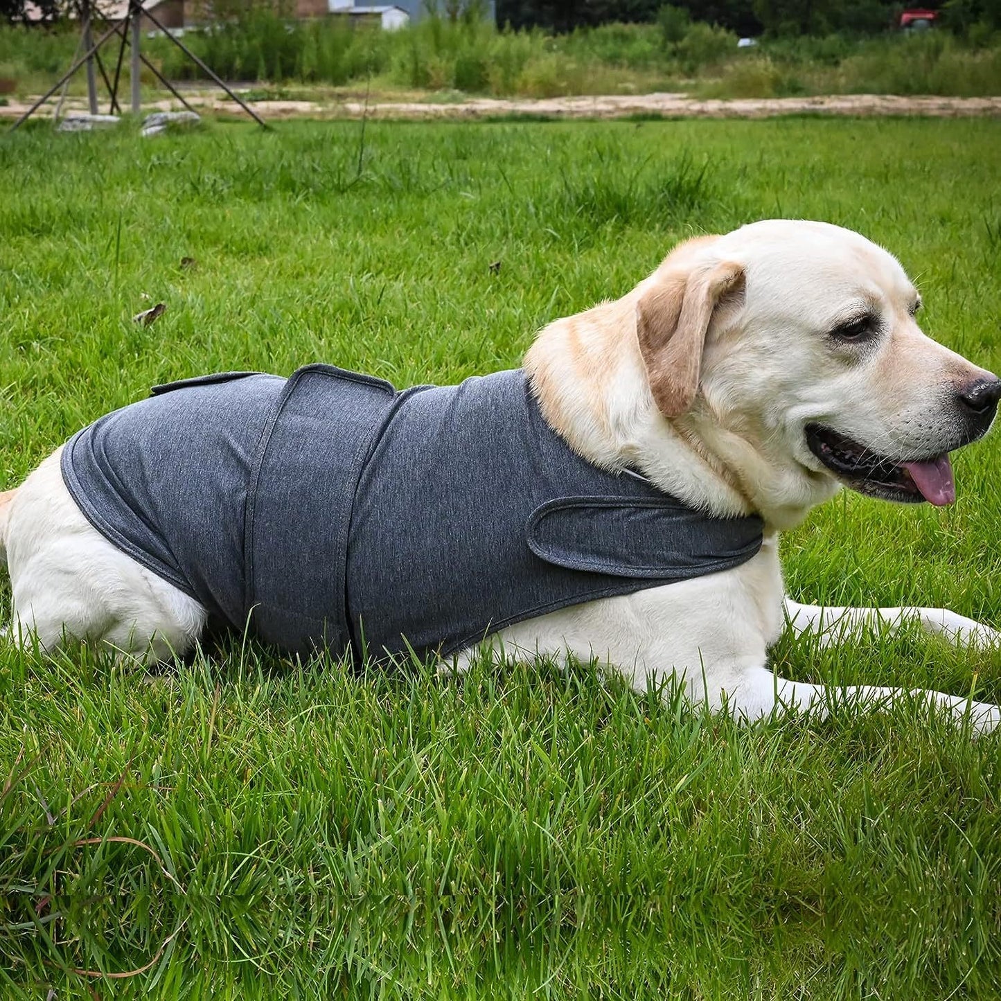 Classic Dog Anxiety Jacket – Calm Your Pup Naturally & Reduce Stress