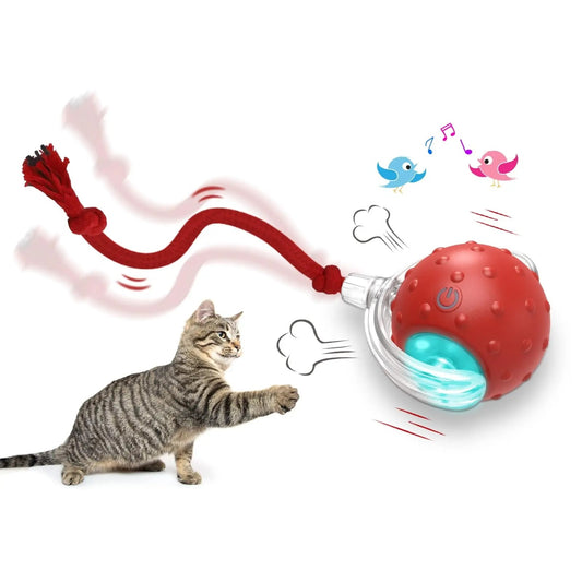 "Smart Rolling Cat Ball – Interactive Motion-Activated Toy for Indoor Cats"